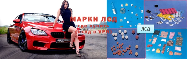 дживик Новозыбков