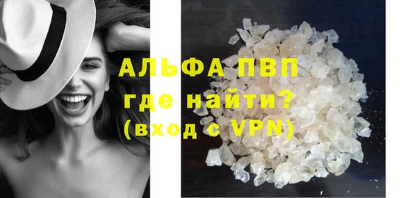 дживик Новозыбков