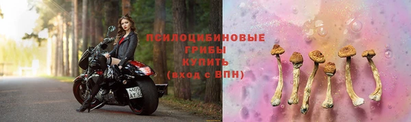 скорость Новокубанск