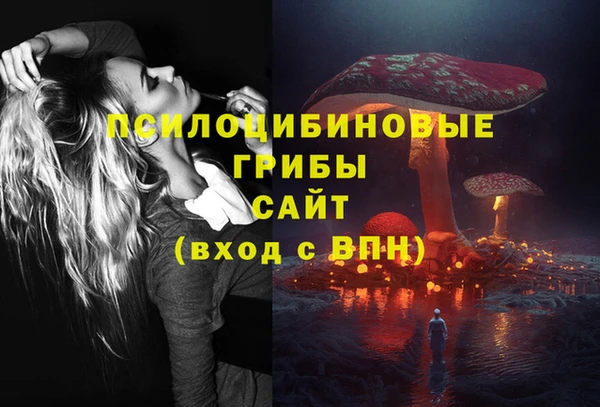 МДПВ Киселёвск