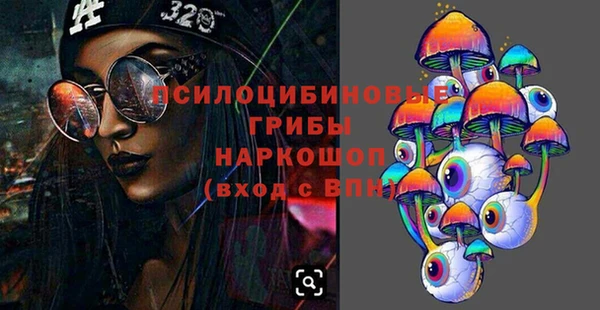 мдпв Новодвинск
